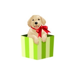 Puppy Gift